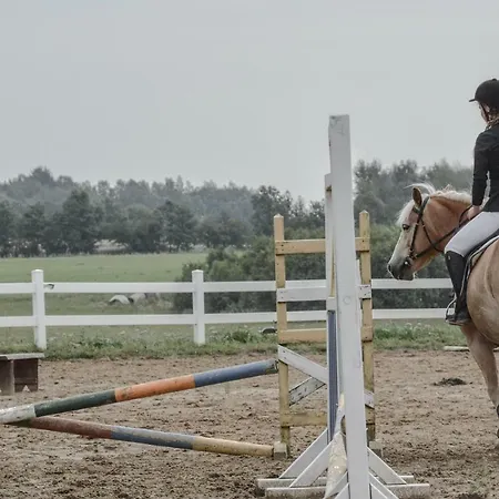 Agroturismo Milejewko Milejewo