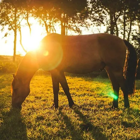 Milejewko Agroturismo Milejewo