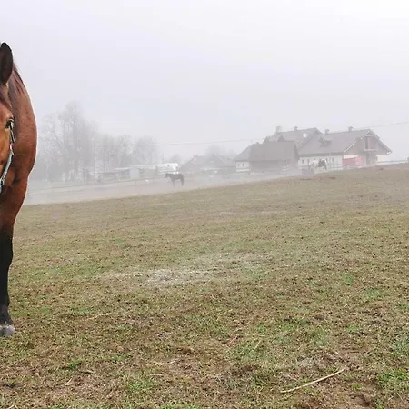 Agroturismo Milejewko *