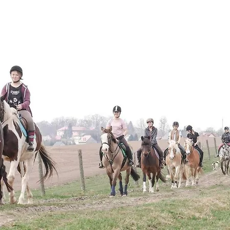 Milejewko Agroturismo